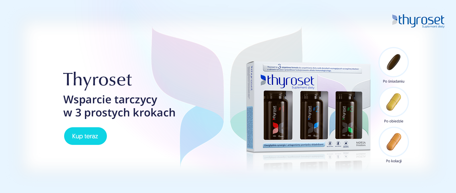 thyroset – 01a – 02 – final